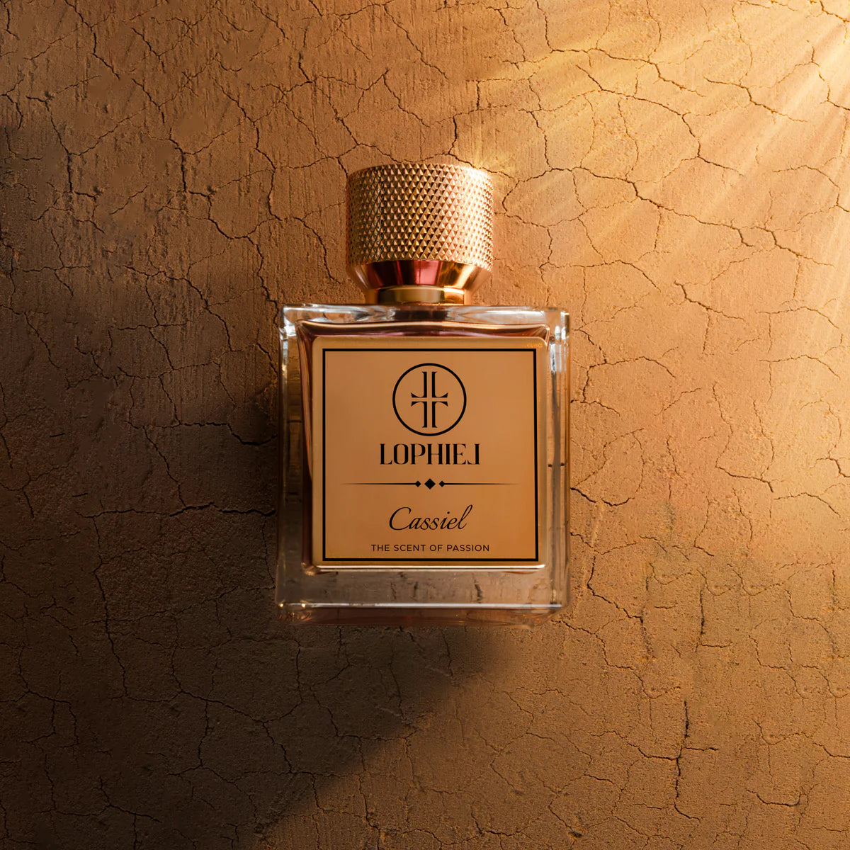 Cassiel · Lophiel — Amber vanilla niche perfume lifestyle